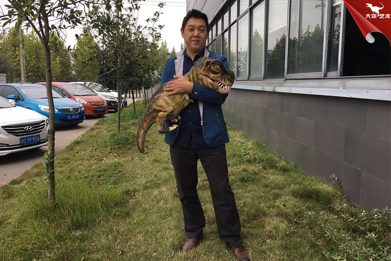 恐龍手偶，抱在手里的恐龍