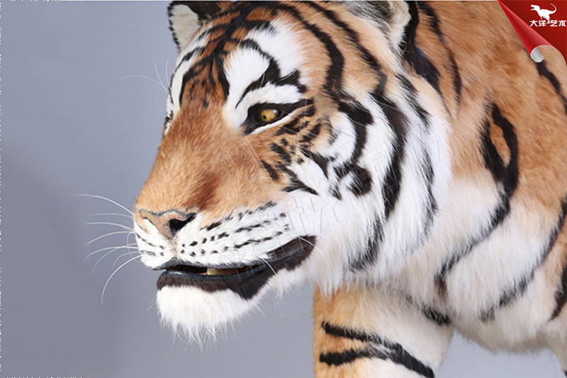 仿真老虎,仿真貼毛動(dòng)物制作