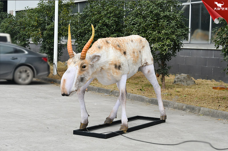 仿真動(dòng)物模型 高鼻羚羊模型