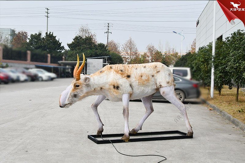 仿真動(dòng)物模型 高鼻羚羊模型