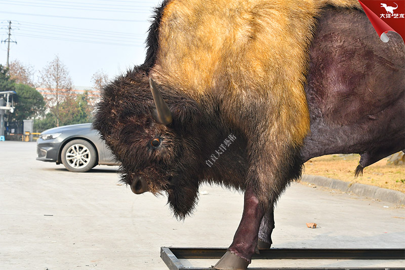仿真野牛 動物仿真模型